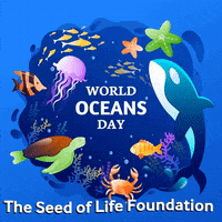 Oceans Sticker For Ios Android Giphy Oceans Sticker For Ios Android Giphy