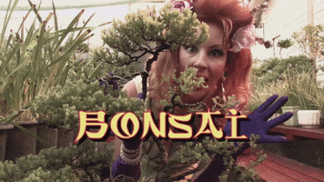 bonsai lns214 GIF by truTV's Late Night Snack
