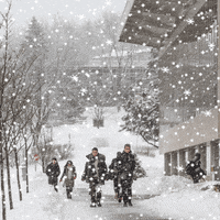Snow University GIF by Université de Sherbrooke