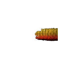 Pollo A La Brasa Comida Peruana Sticker by pollolocoperu