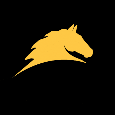 Horses Savvy GIF by Parelli Natural Horsemanship