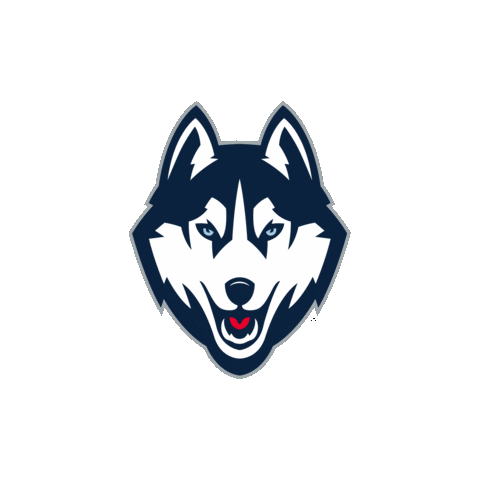 March Madness Basketball Sticker by UConn Huskies