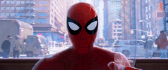 Spider Man Omg GIF by Spider-Man: Into The Spider-Verse