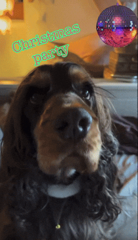 Christmas Party GIF
