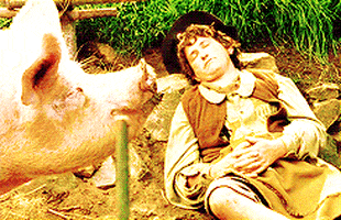 Farming+GIF the lord of the rings, fellowship of the ring # the lord of the rings ...
