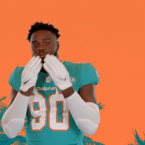 Love You Football GIF by Miami Dolphins