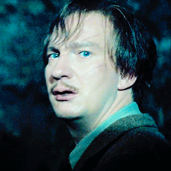 david thewlis