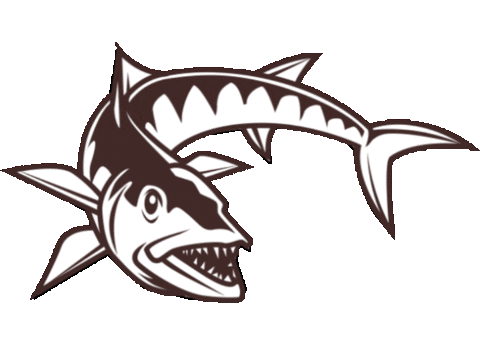 Barracuda Bar GIFs on GIPHY - Be Animated