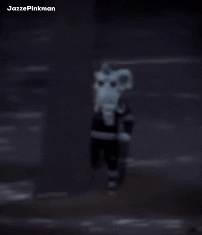 Hockey Nhl GIF