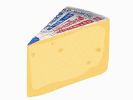 Appenzeller Käse GIF