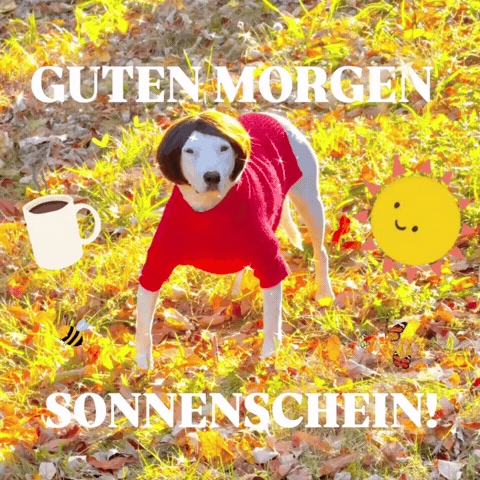 Deutschland Hund GIF