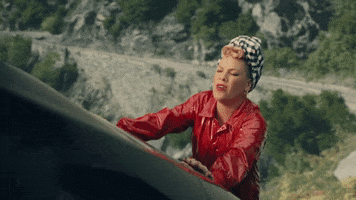 Dave Meyers GIF by P!NK