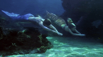 Swimming GIF