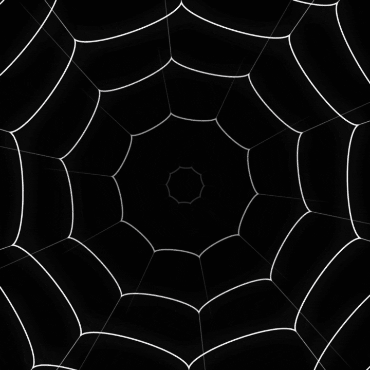 Spider Web Loop GIF