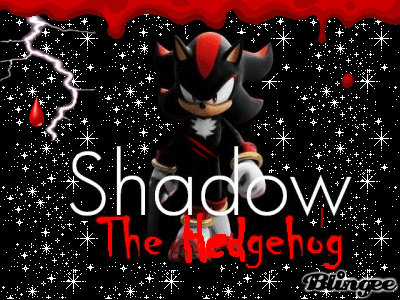 shadow the hedgehog