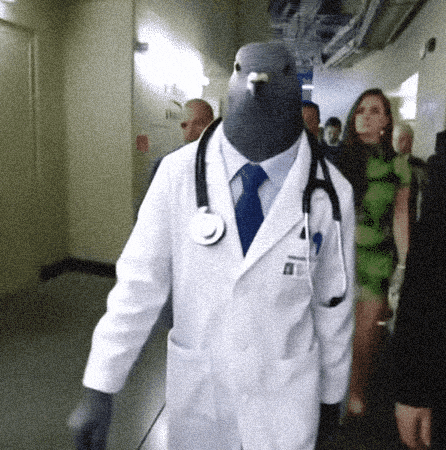 Doctor Pigeon GIF
