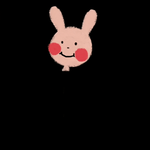 Rabbit 兔子 GIF
