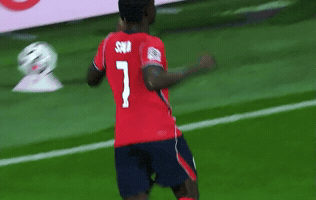 England Team GIF by memes