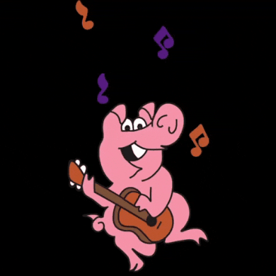 Boucherie and Balloon Festival GIF