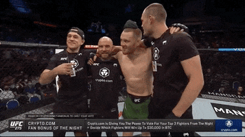 Knockout Win GIF by UFC