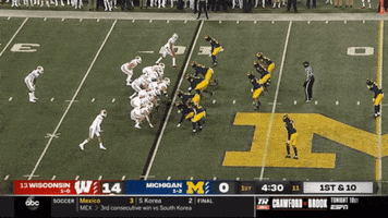 Wisconsin GIF