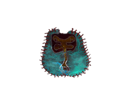 Animated Sticker