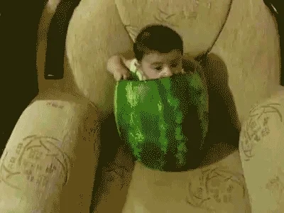 baby watermelon GIF