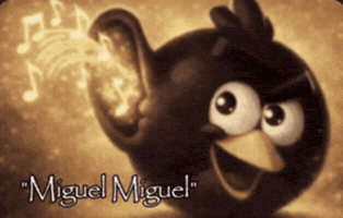 N Miguel GIF