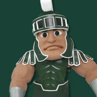 Michigan Football Party GIF by Michigan State Athletics