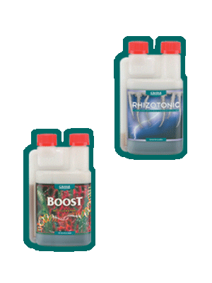 CANNA Italia Sticker