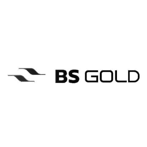 Bs Gold Sticker by BSPAR