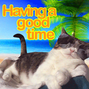 cool cat chill GIF