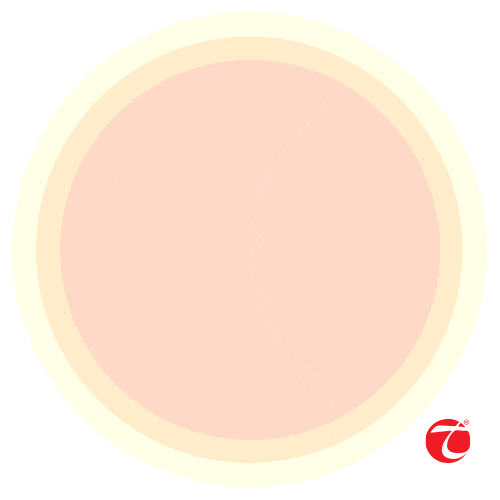 Toyota Corrida Sticker by Toyotoshi S.A