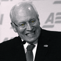 Mesmerizing Vice President GIF by xponentialdesign