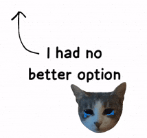 Mzz11 GIF