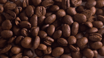 Good Morning Monday Coffee GIF by coffeebrands
