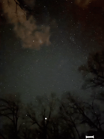 Snow GIF