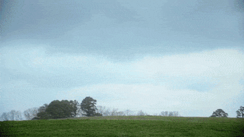 Erlanger Health System GIF