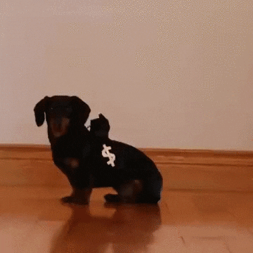 Dog Police GIF
