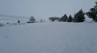 Man Takes Tumble in Inches-Thick Snow in Oberon, Australia