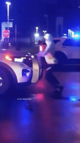 Freefireshitpostings GIF