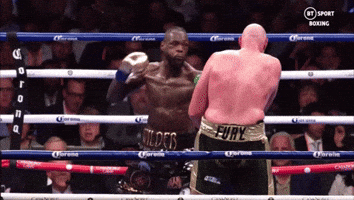 Tyson Fury GIF