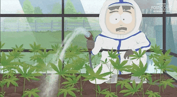 Smoke Plants GIF by South Park