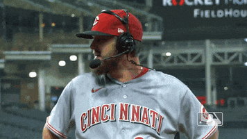 Sport Baseball GIF by Cincinnati Reds