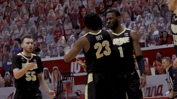 College Basketball Huddle GIF by Purdue Sports