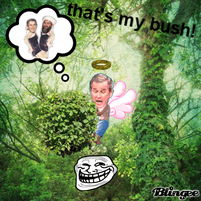 bush