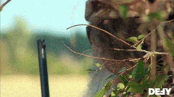 Duck Dynasty GIF by DefyTV