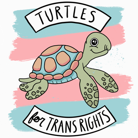 International Transgender Day of Visibility - Virtual Library Displays ...