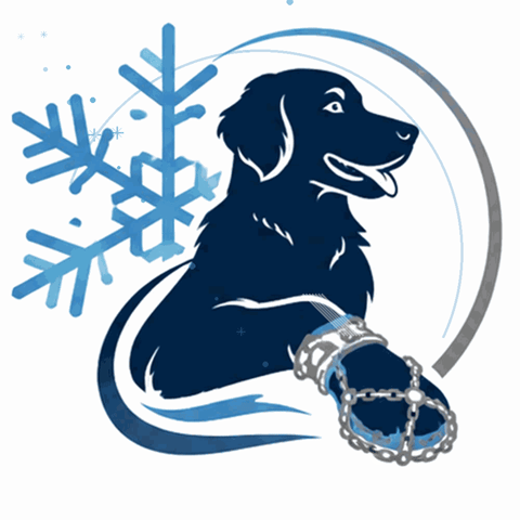 Hundestylingfrankenau GIF