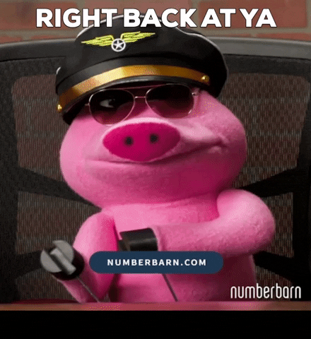 Right Back At Ya Pig GIF by NumberBarn